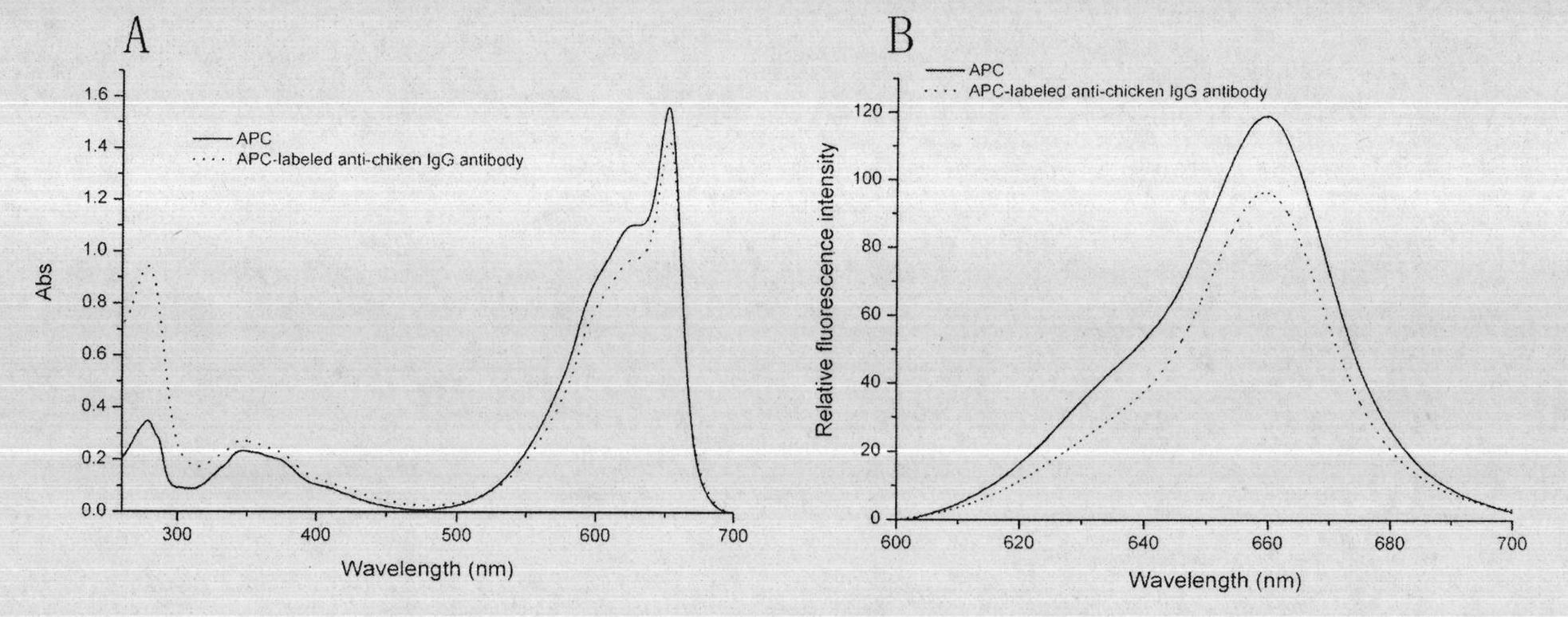 Method for preparing allophycocyanin-marked fluorescent antinuclear antibody