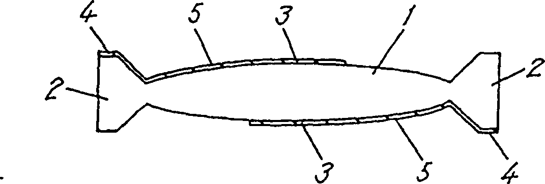 Piezoelectric vibrator