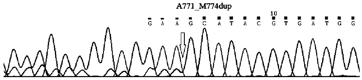 Method for synchronously detecting gene mutations of 8th, 19th, 20th and 21st exons of ERBB2 gene