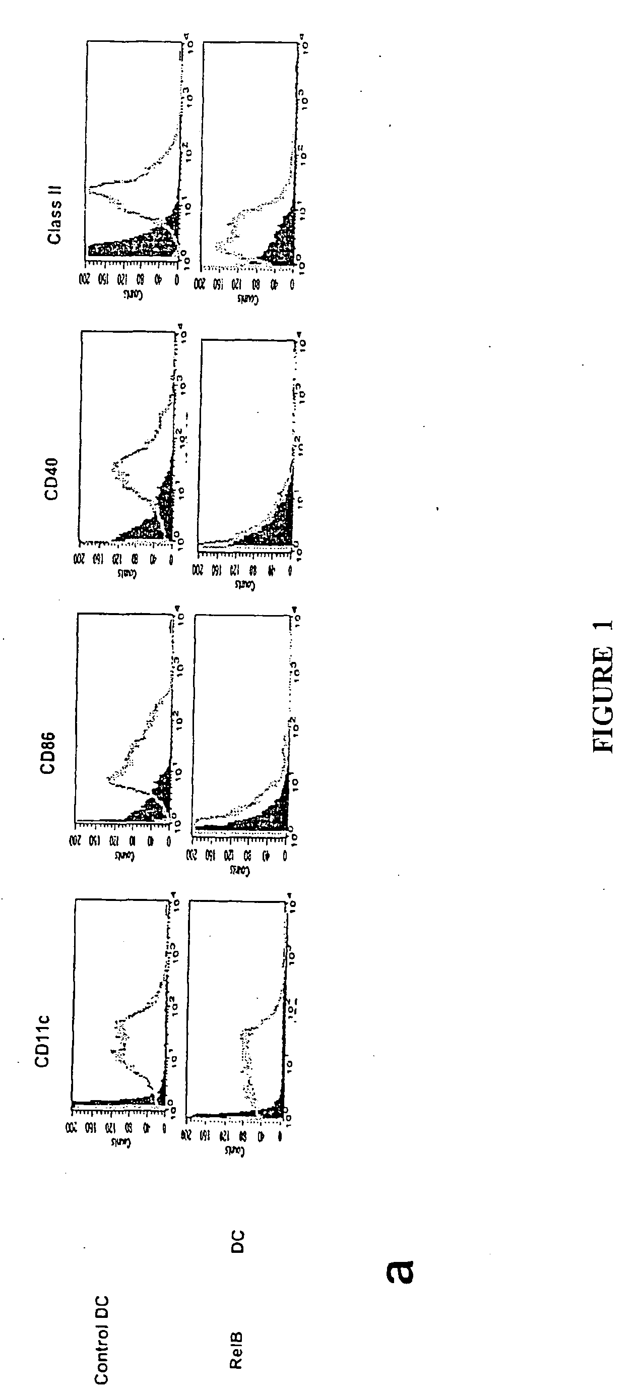 Immunomodulating compositions, processes for their production and uses therefor