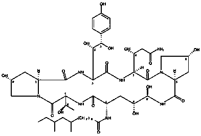 Fermentation method of Newmocontin b0