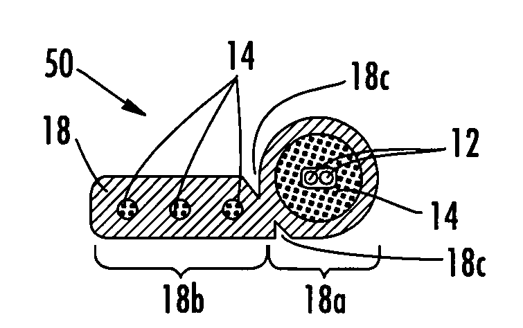 Fiber optic ribbons having an attachment portion