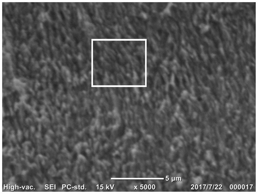 a co  <sub>2</sub> Electrode for electrochemical reduction and its preparation and application