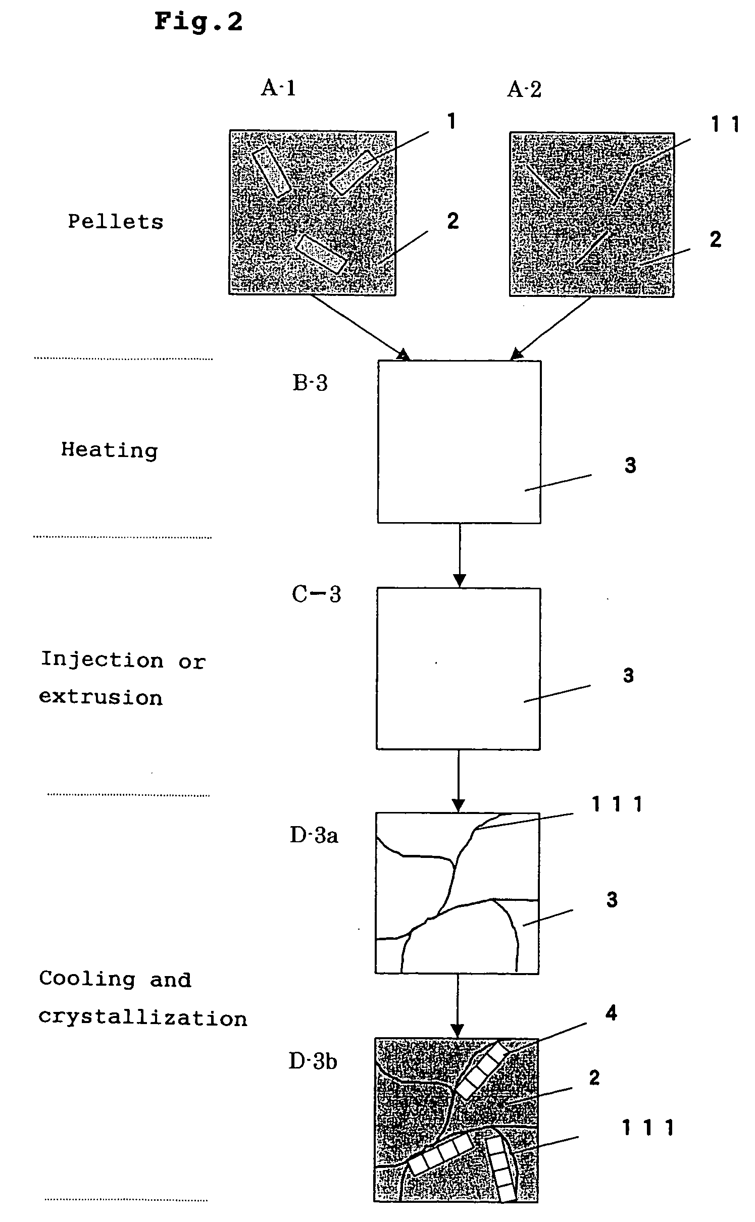 Polypropylene-based resin molded article and process for producing the same