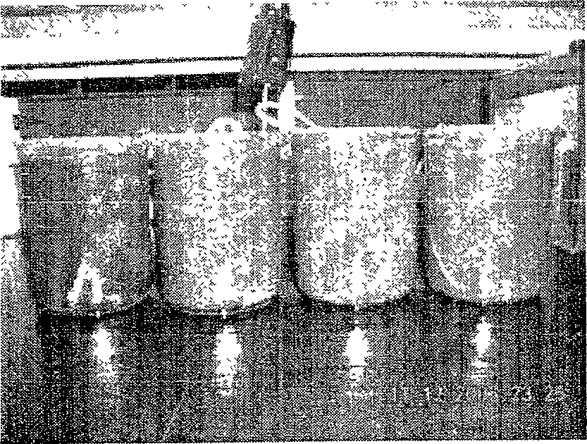 Method for treating wastewater by technique of sludge decrement type biomembrane piled ball packing