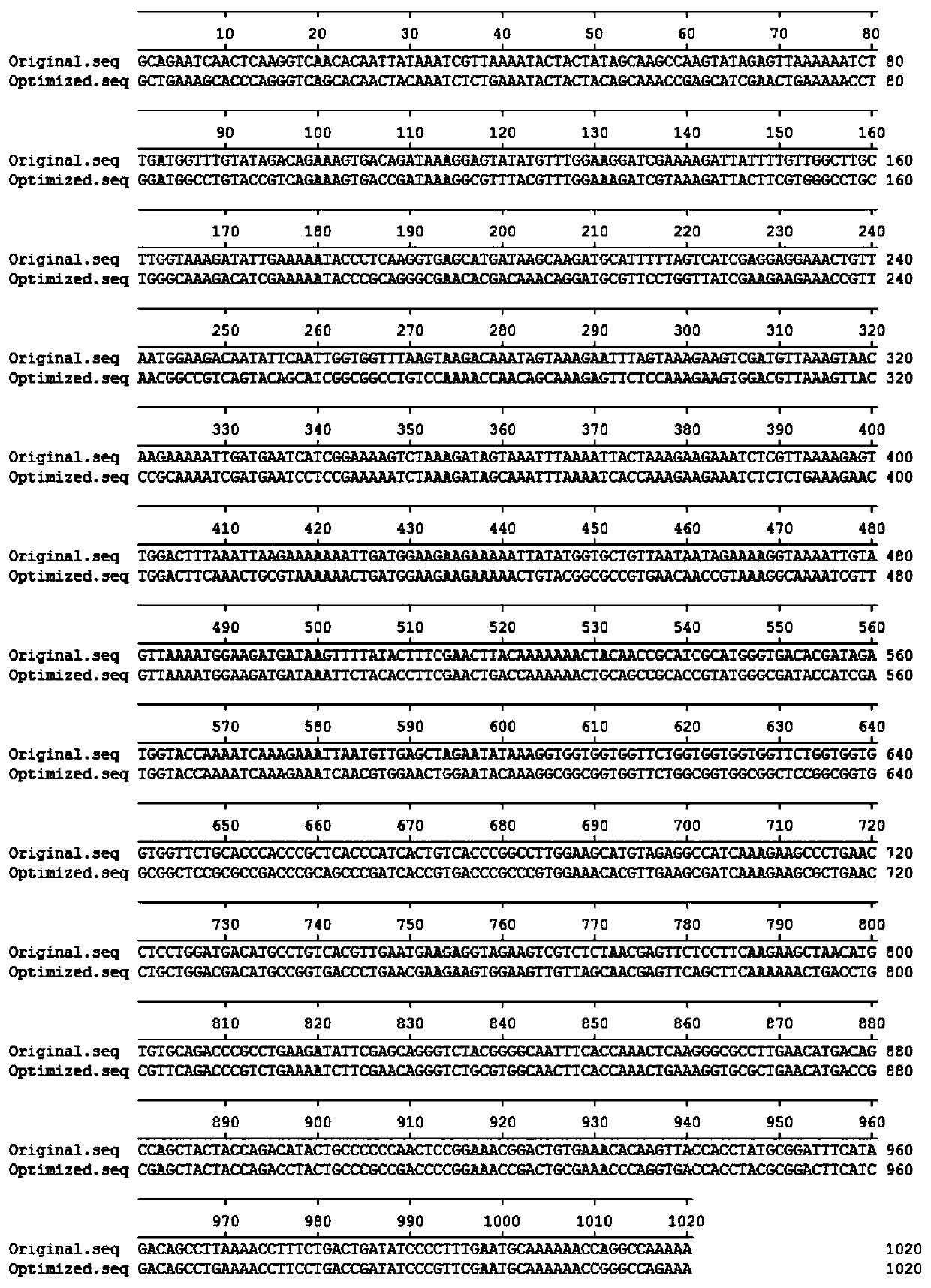 Staphylococcus aureus fusion protein and protein expression vector and purification method thereof