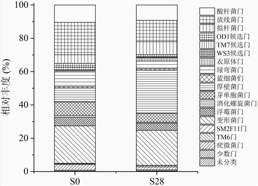 Method for determining absolute abundance of microbial community structure in environment