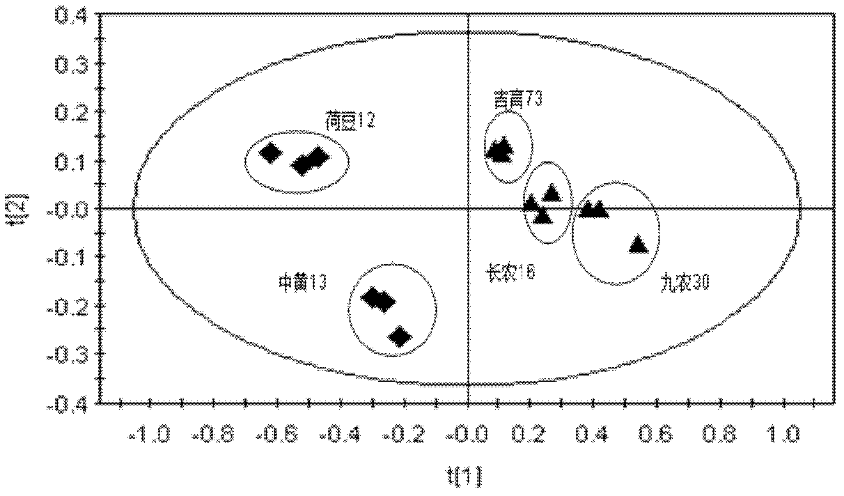 Flavonoid metabolic profiling analysis method based on nanofluidic channel liquid chromatogram/mass spectrum