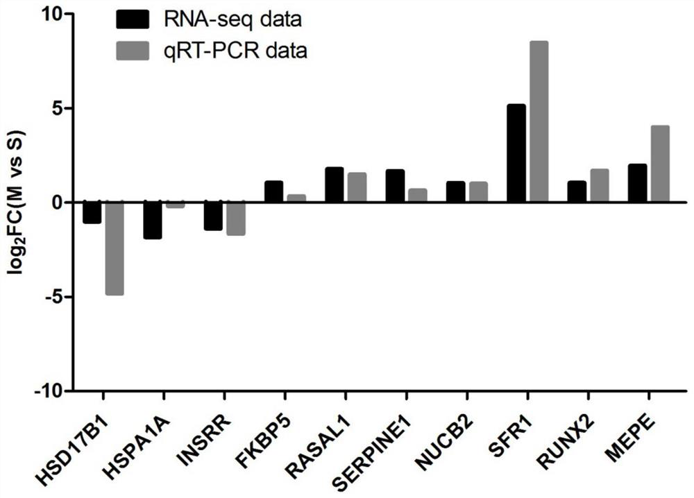 lncrna SFR1 and its application, products and methods for regulating follicle development