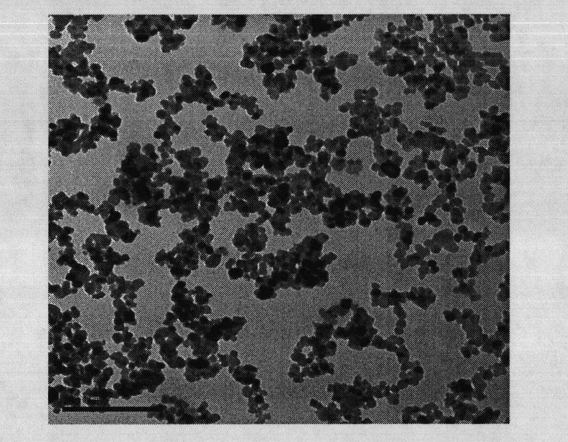 Titanium dioxide nano particle and litchi nano preservative