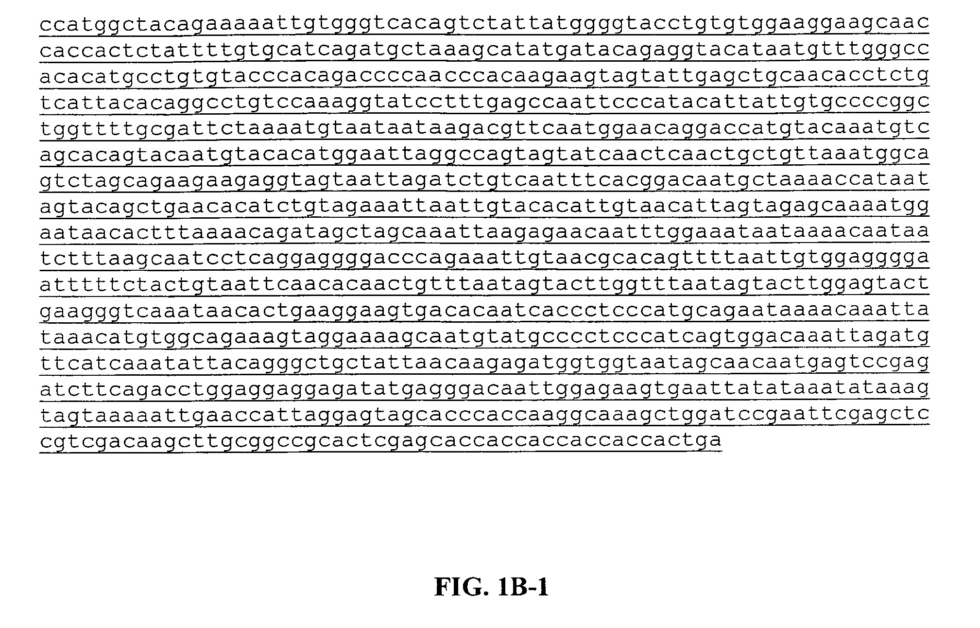 Method for producing catalytic antibodies (variants), antigens for immunization and nucleotide sequence