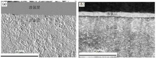 Steel base surface alloying-ion nitriding wear-resistant corrosion-resistant composite modified layer and preparation method thereof