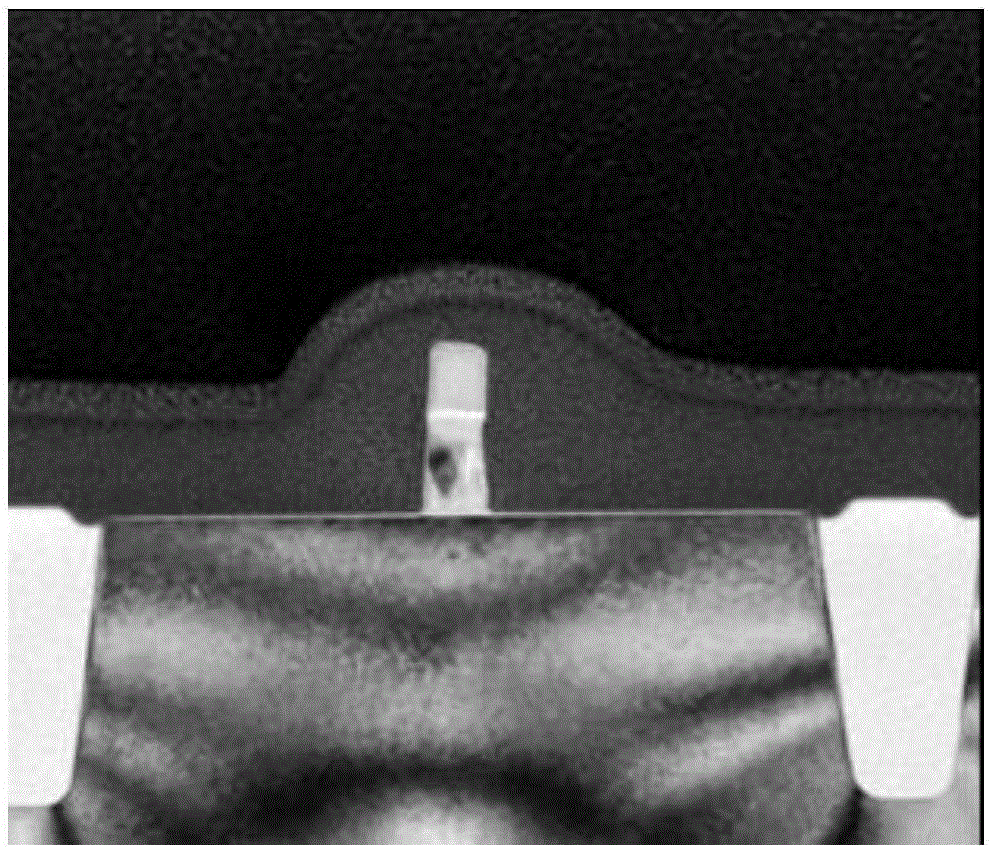 Marking method for TEM chip sample