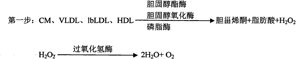 Small and dense low-density lipoprotein cholesterin detection kit and preparation thereof