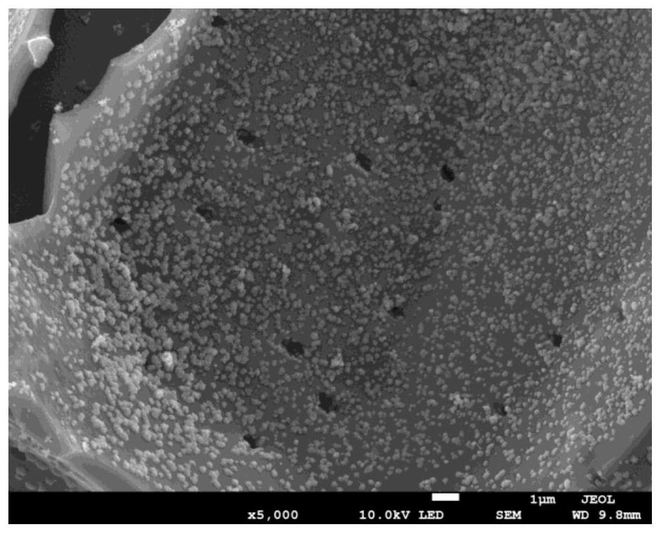 Preparation method of zero-valent Pd/Cu modified moso bamboo biomorphic composite material and application thereof