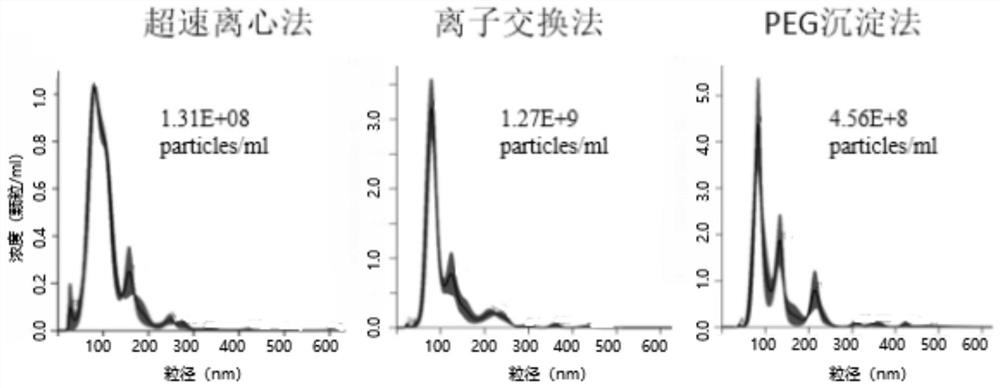 Method for separating exosome in biological sample, kit and application thereof