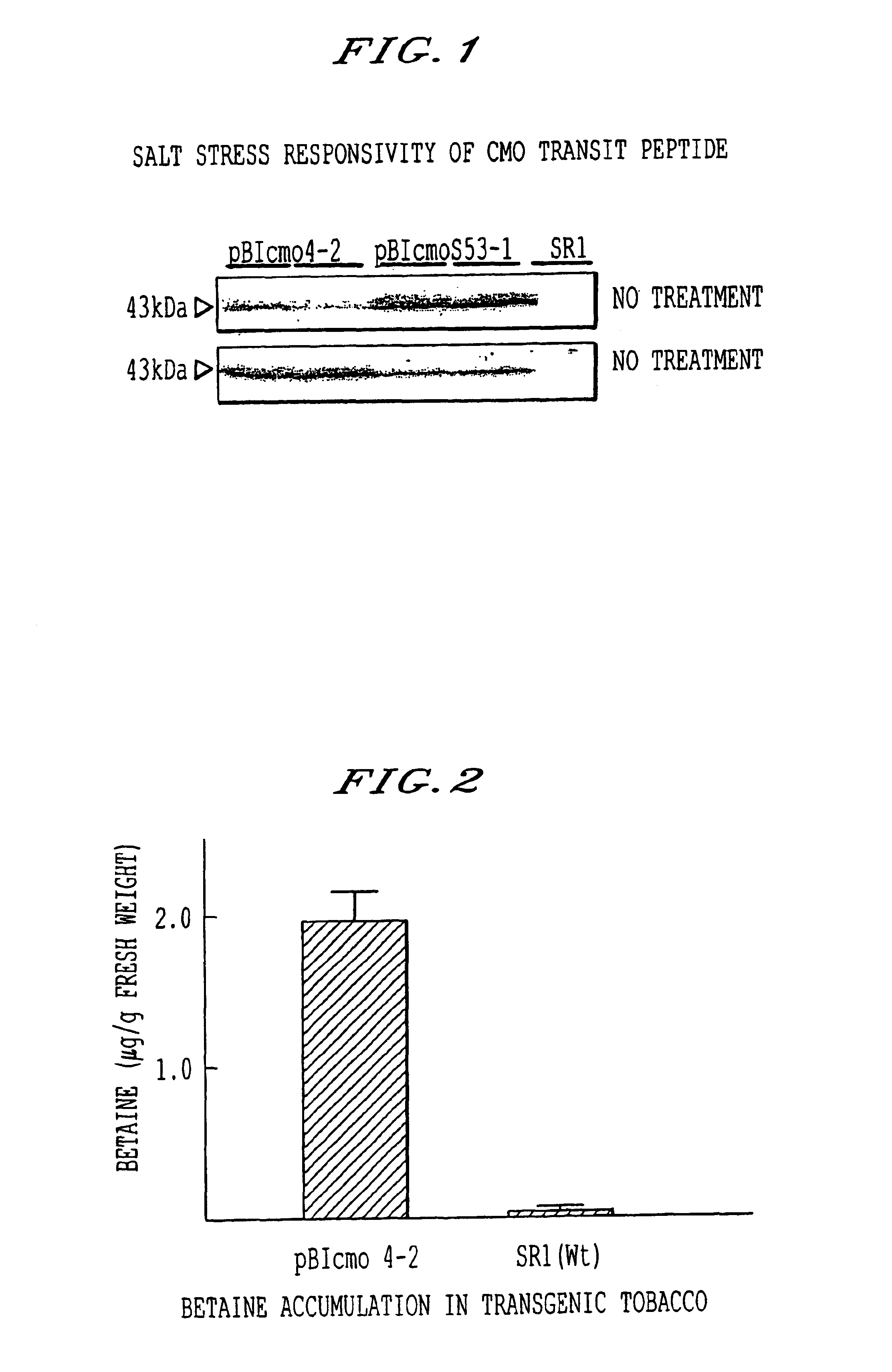 Choline monooxygenase gene