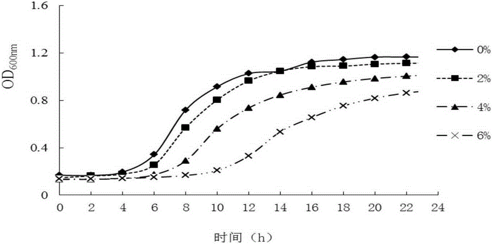 A kind of lactobacillus plantarum with high peptidase activity and application thereof