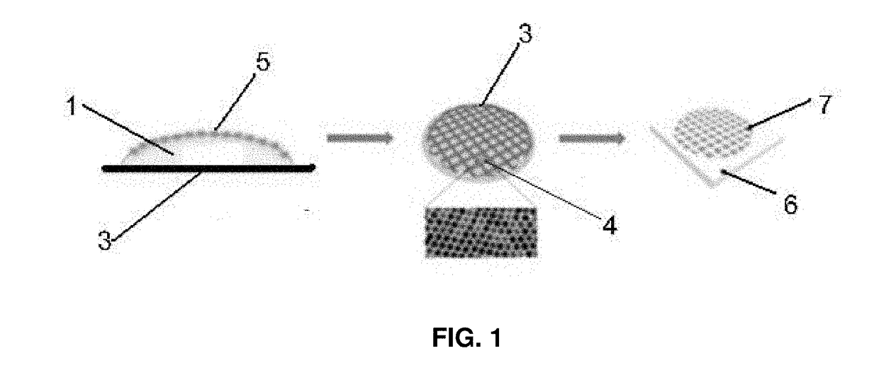 Plasmene nanosheets & methods of synthesis thereof