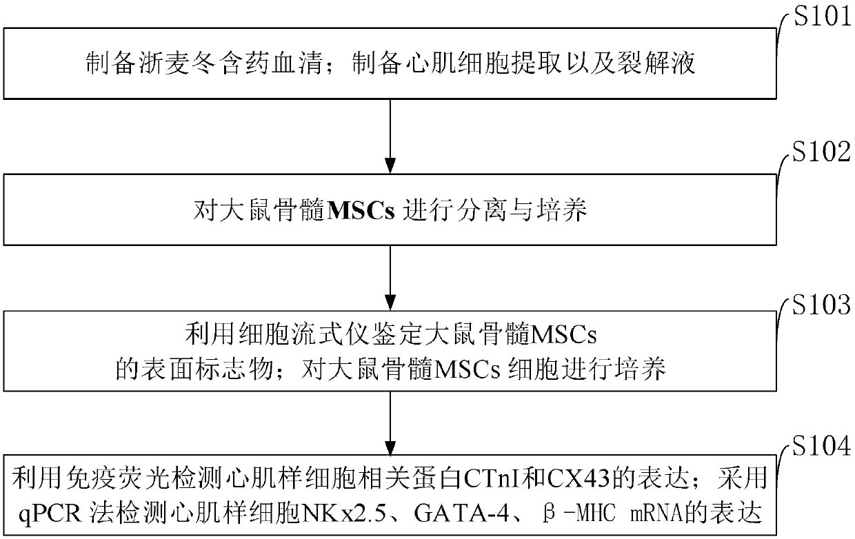 Drug for inducing bone marrow mesenchymal stem cell (MSC) differentiation to cardiomyocyte and detection method thereof