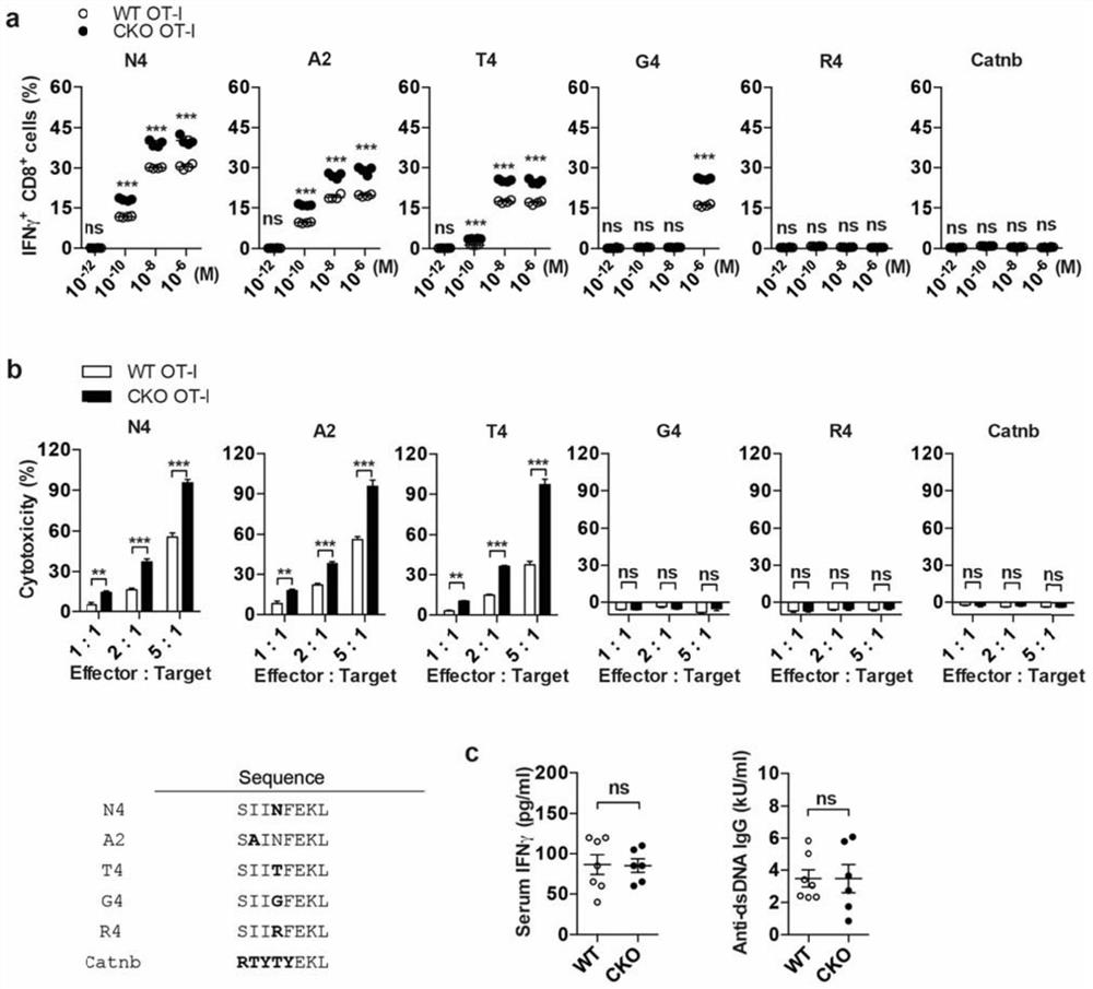 Combined Drug Combinations for Tumor Therapy