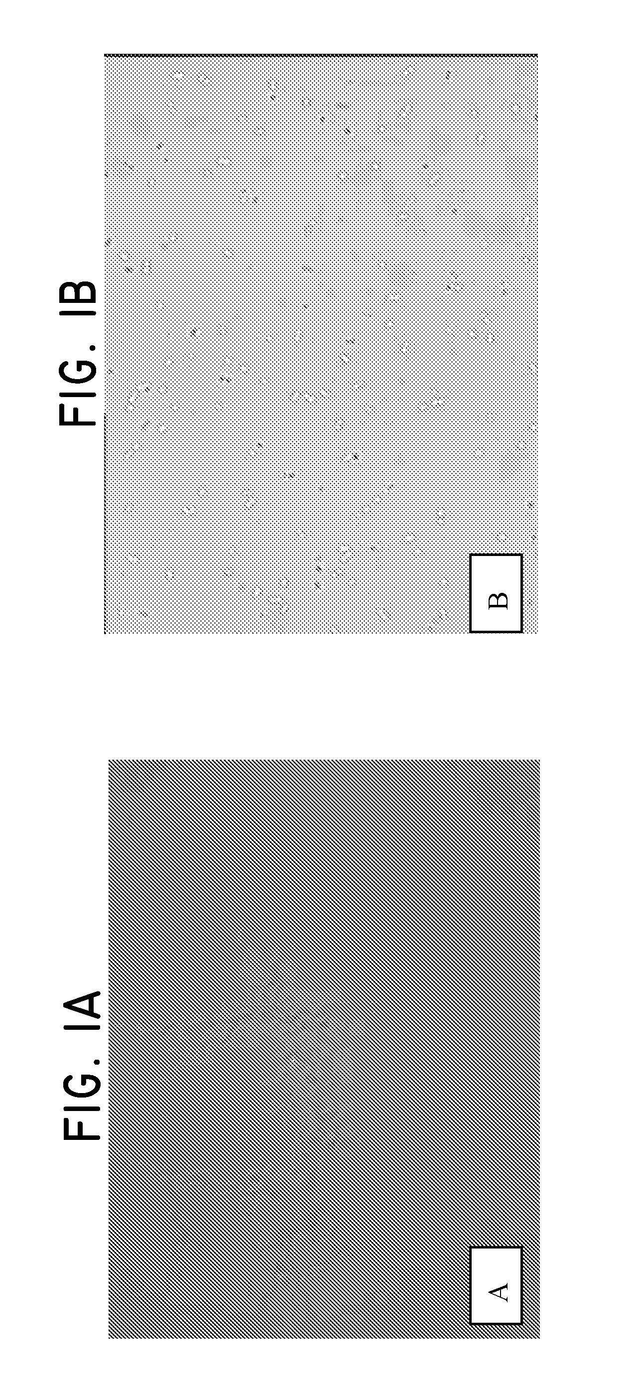 Feed supplement comprising oligosaccharides and medium chain fatty acids