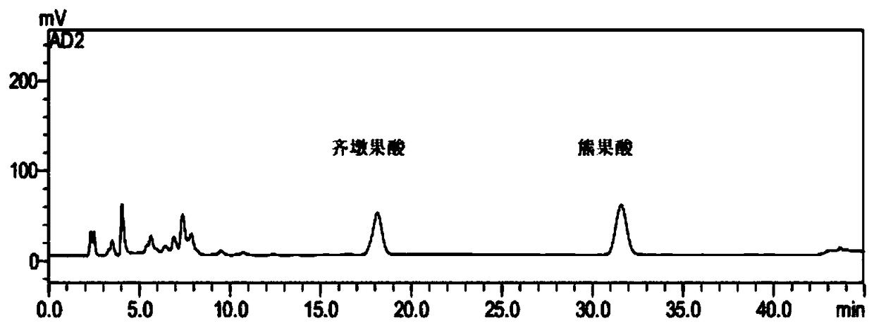 A kind of preparation method and application of Ligustrum lucidum total triterpene acid extract