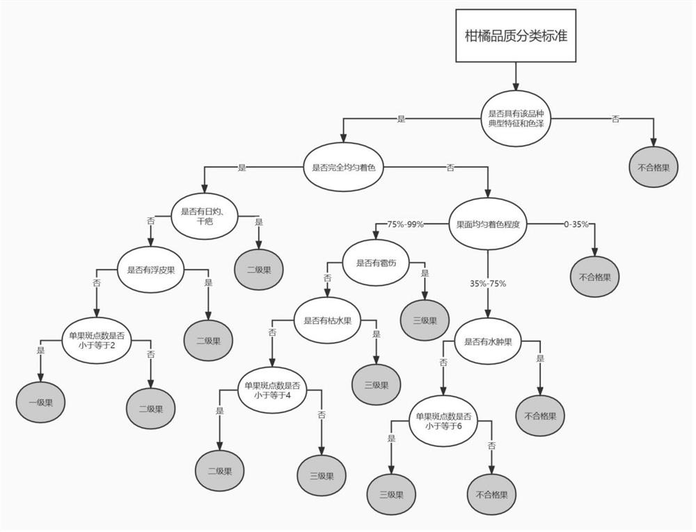 Citrus quality classification method and system based on random forest model and fuzzy clustering