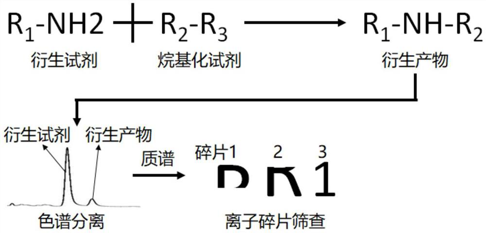 Non-targeted screening method for alkylated genotoxic impurities