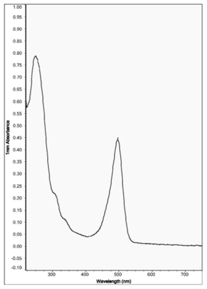 her2 gene fluorescence in situ hybridization probe and its preparation method and application