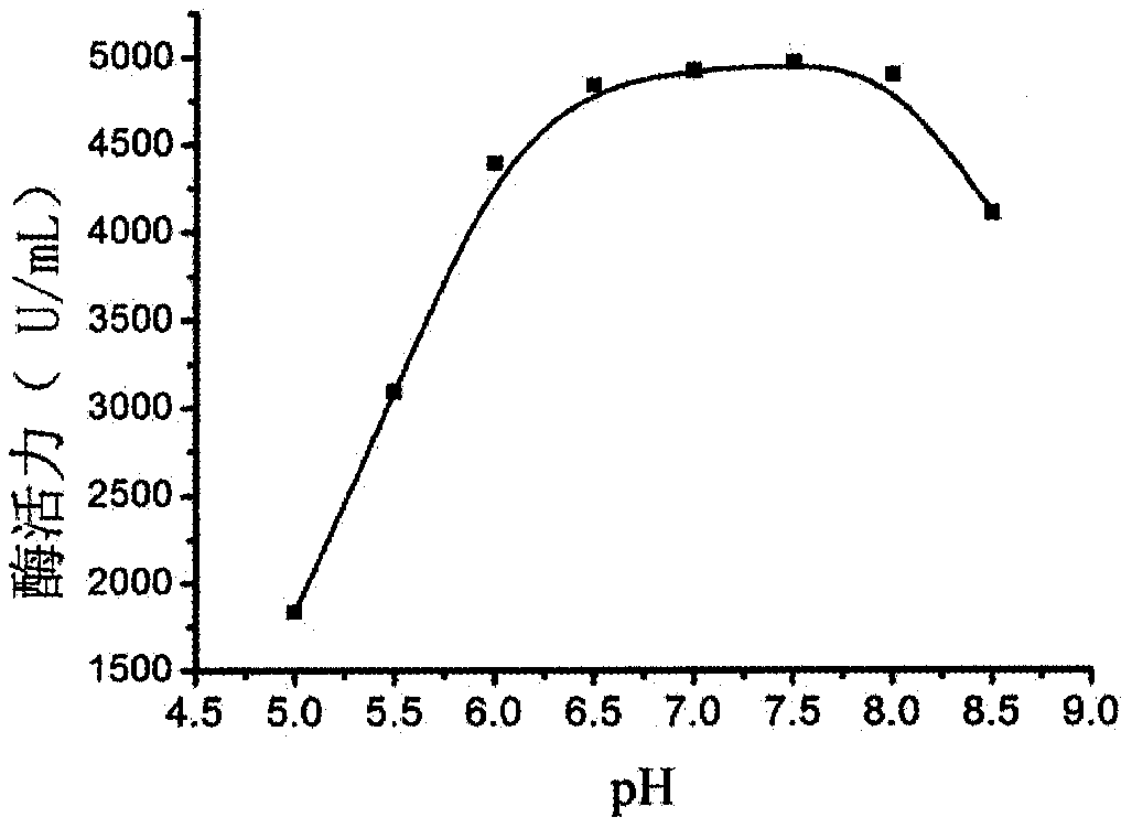 Mixed bacteria secondary fermentation technology and application thereof in industrial production of L-alanine