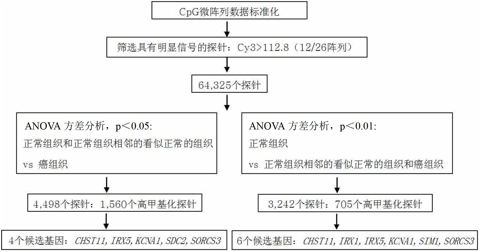 Method for detecting the methylation of colon-cancer-specific methylation marker genes for colon cancer diagnosis