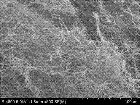 Three-dimensional oil-water separation material based on electrospinning technology and its preparation method