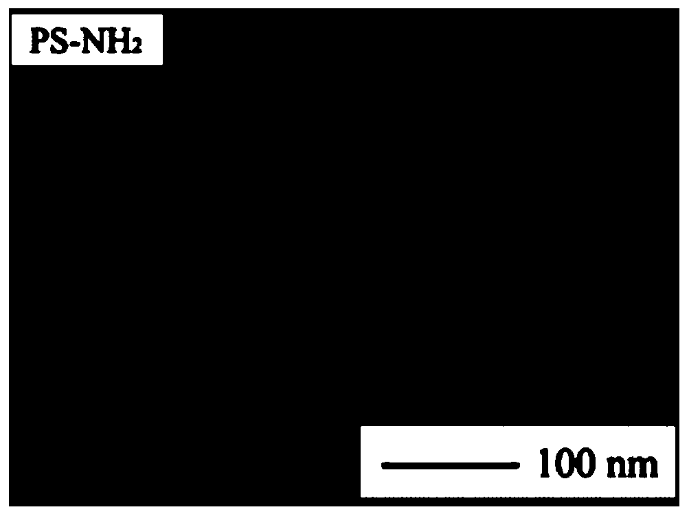 Amino-modified nano-polystyrene and preparation method thereof