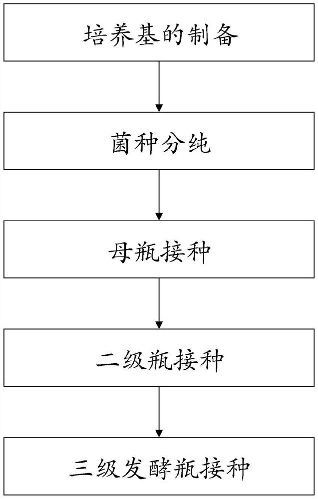 Culture method of coenzyme q10 production strain