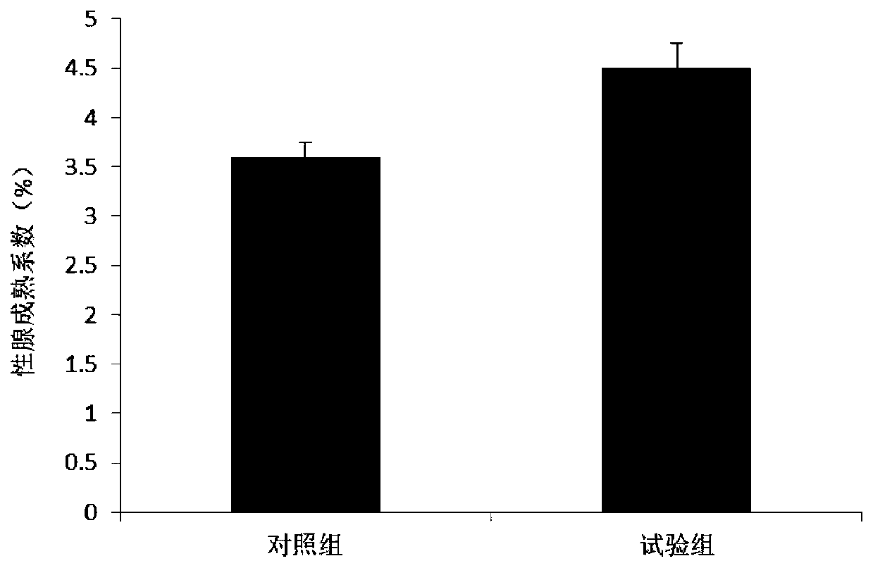 Gonad development promoting additive for fishing, and preparation method and application thereof