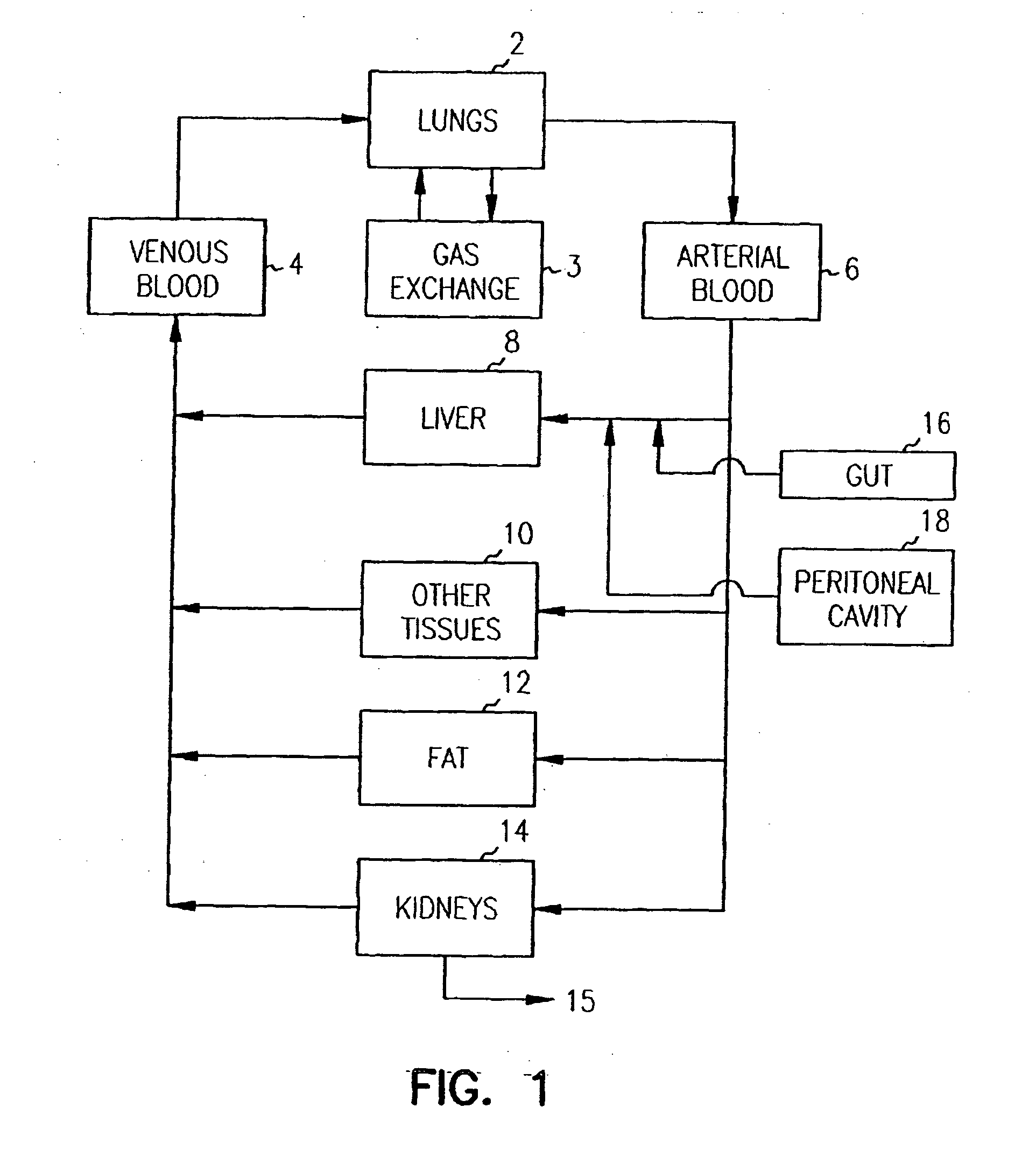 Pharmacokinetic-based culture system with biological barriers