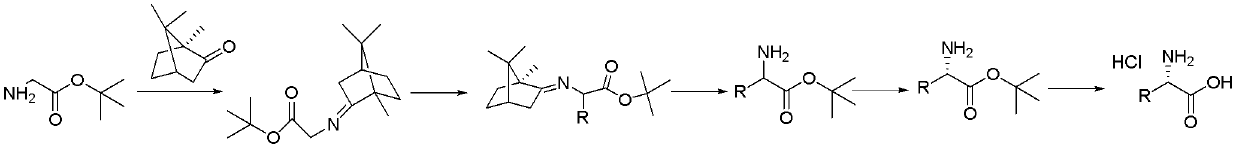 Method for preparing chiral alpha-alkyl substituted glycine hydrochloride