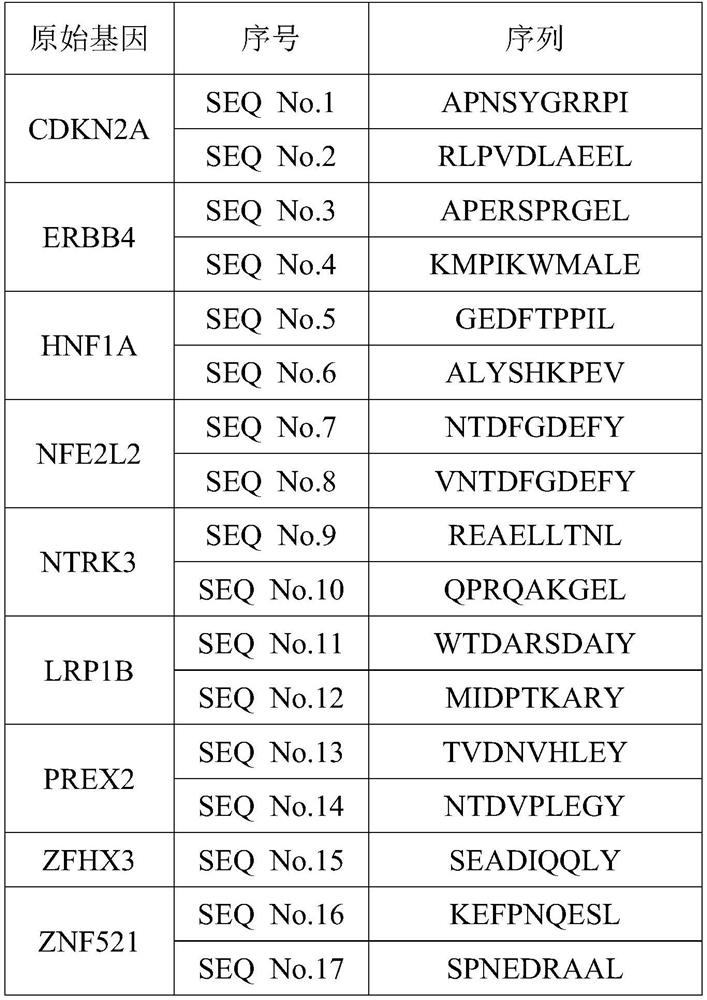 Antigen peptide (neoantigen) related to liver cancer driver gene mutation and application thereof