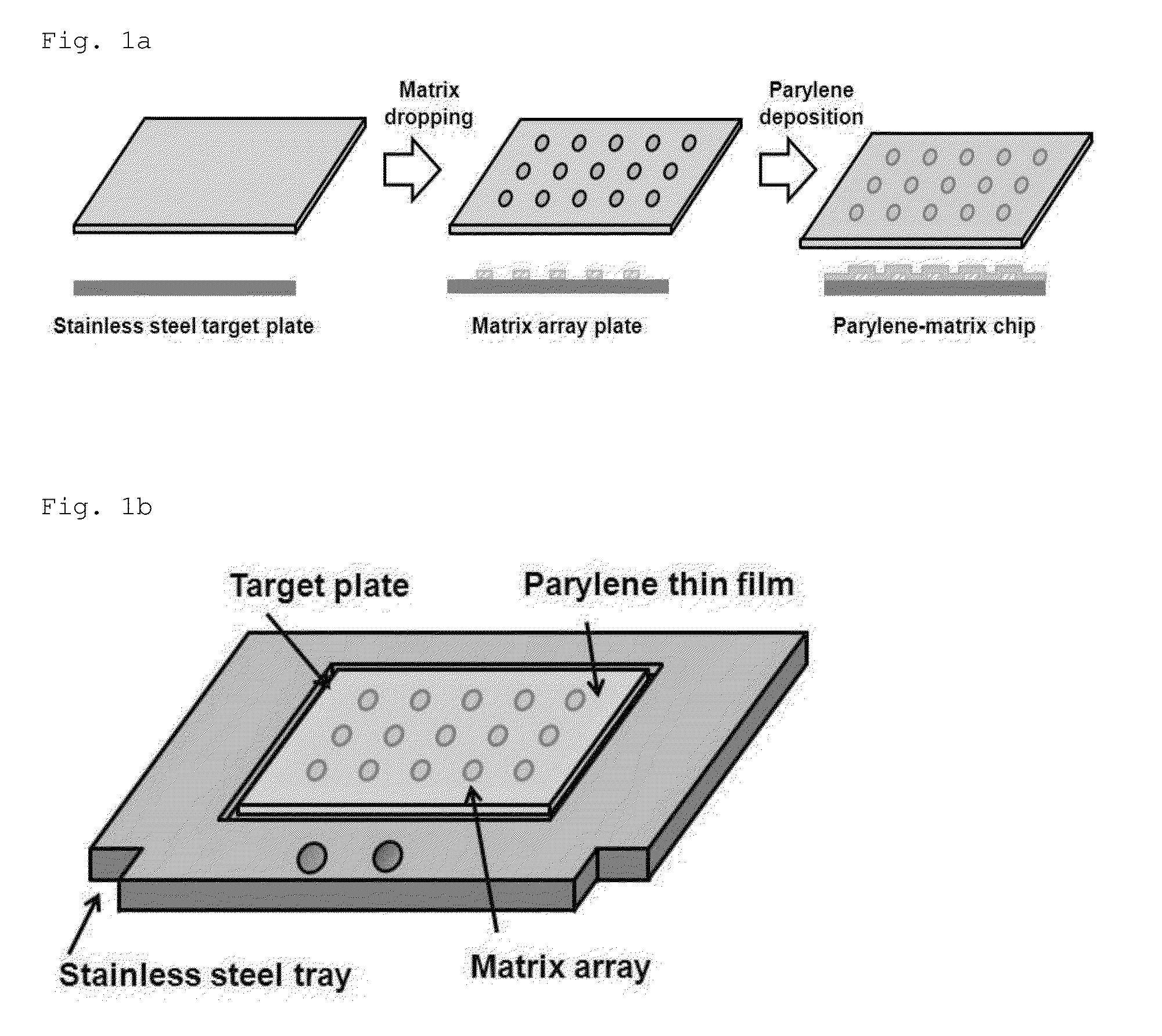 Sample plate using MALDI-TOF mass spectrometer and manufacturing method of the sample plate