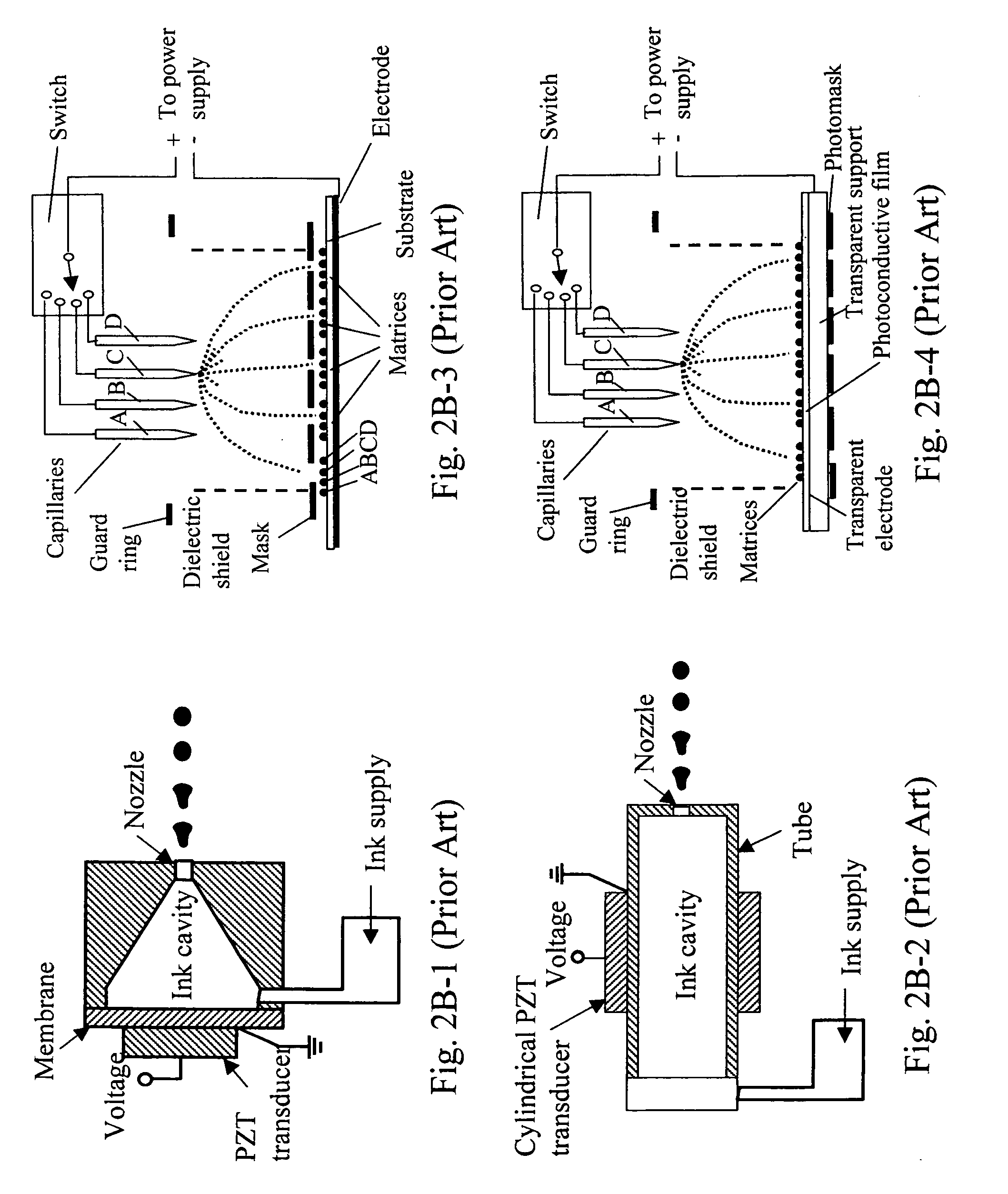 Micro-fabricated stamp array for depositing biologic diagnostic testing samples on bio-bindable surface