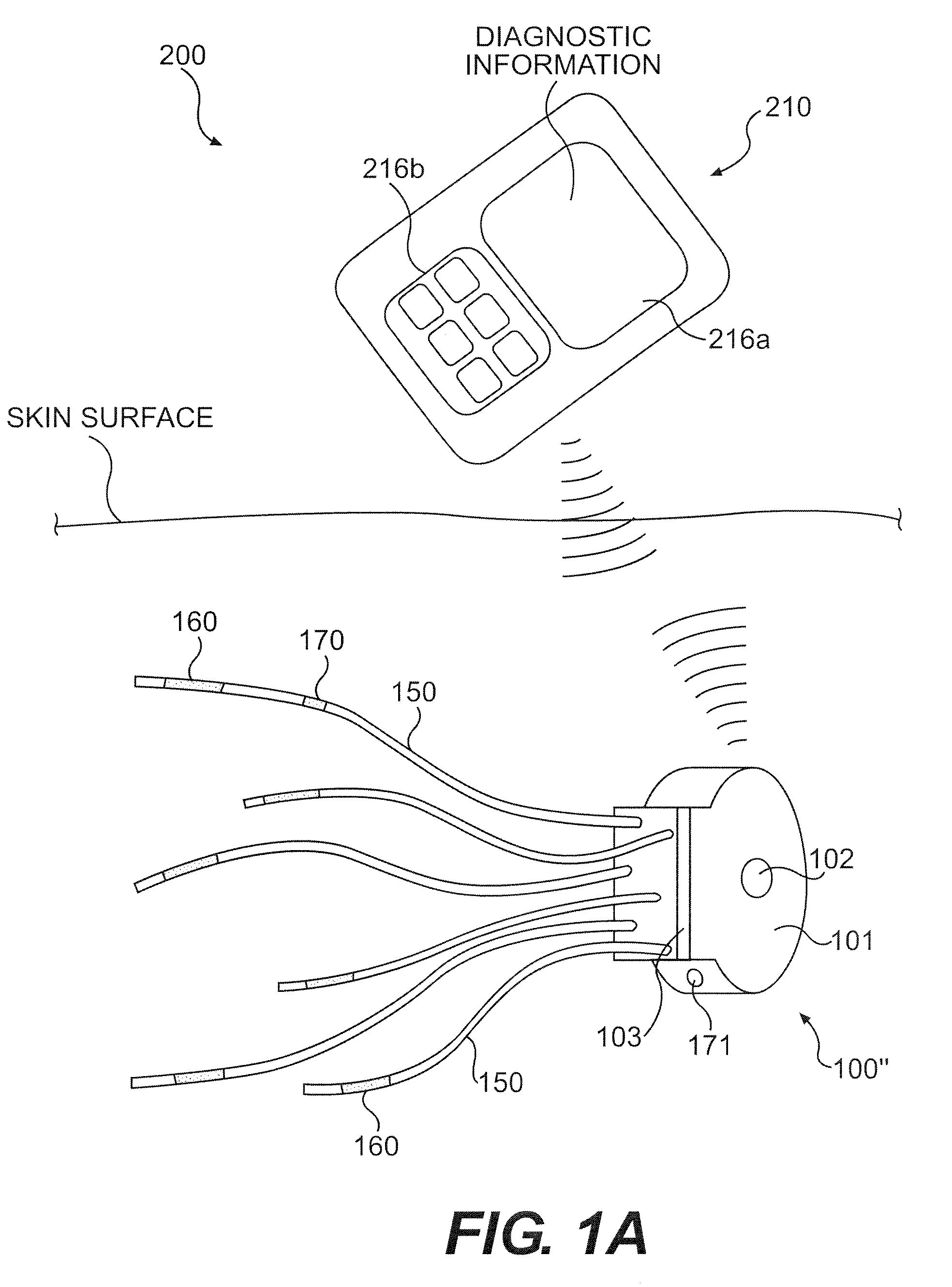 Systems and methods for promoting nerve recognition