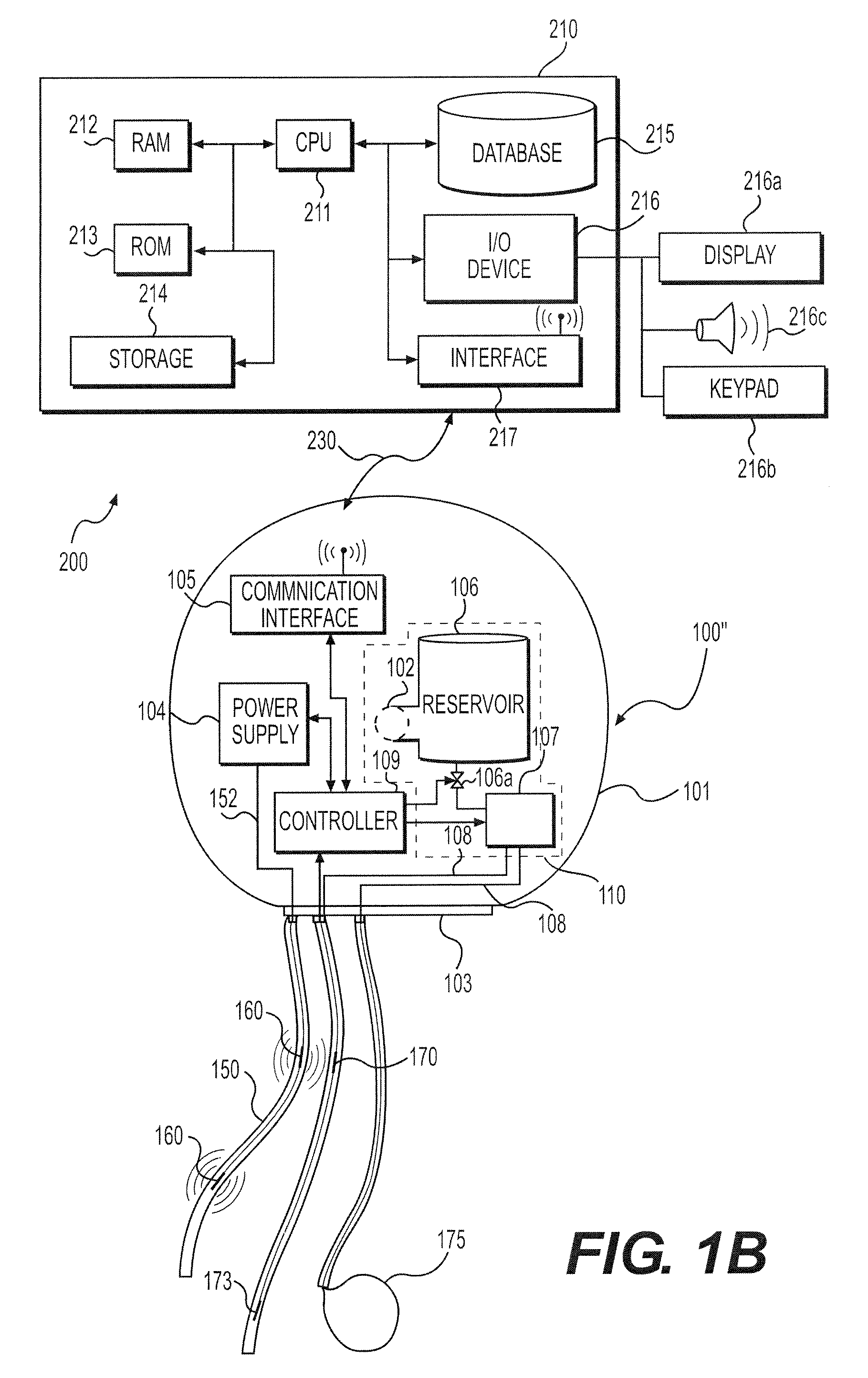 Systems and methods for promoting nerve recognition
