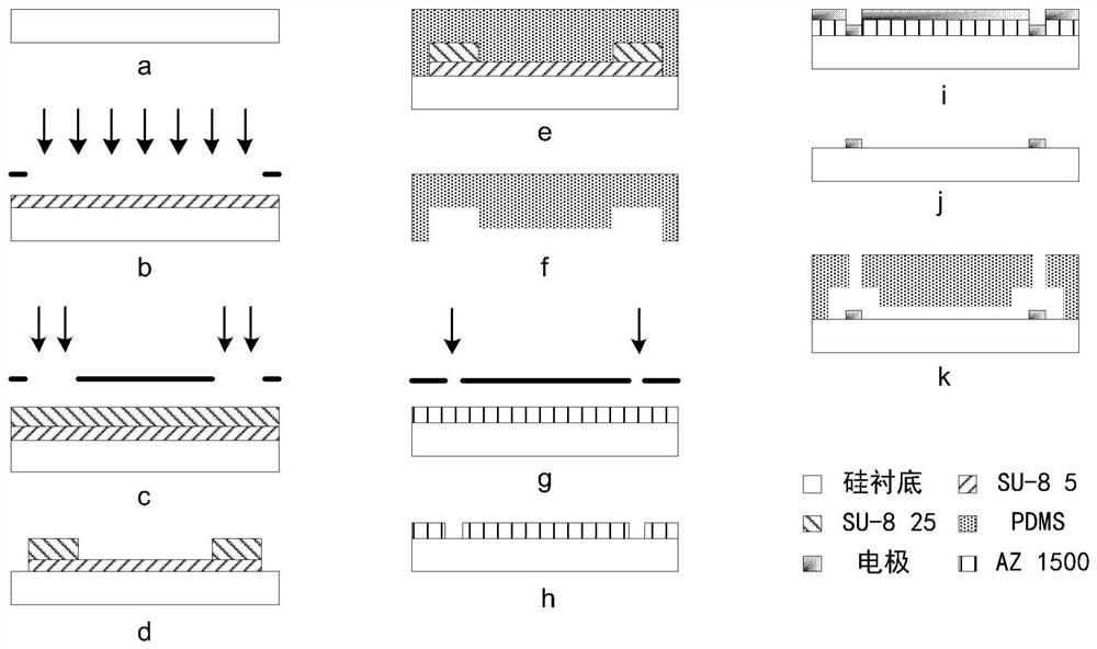 Device and method for high-throughput detection of cell size and size-independent single-cell electrical parameters