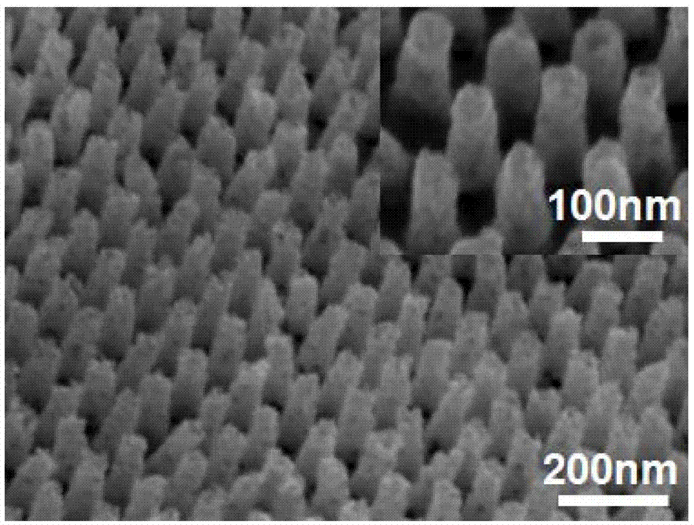 Silver-gold porous nanorod array, preparation method and purpose of silver-gold porous nanorod array