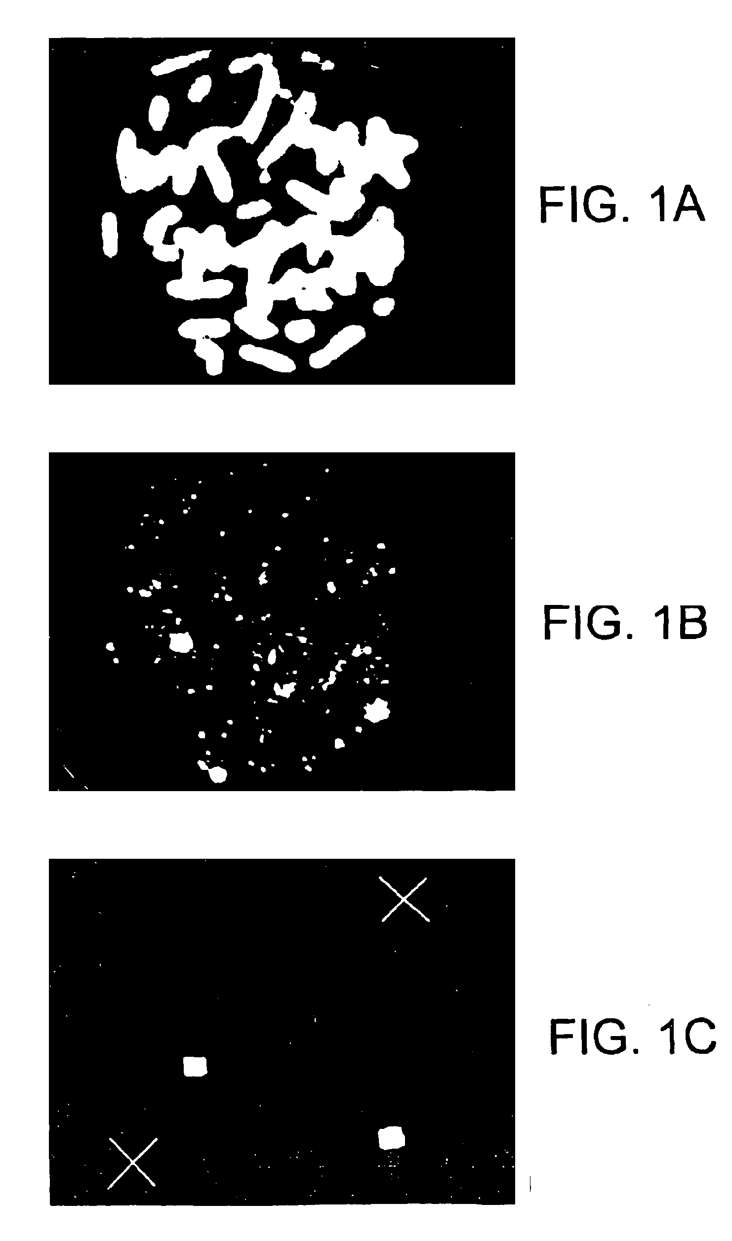 Methods of staining target chromosomal DNA employing high complexity nucleic acid probes