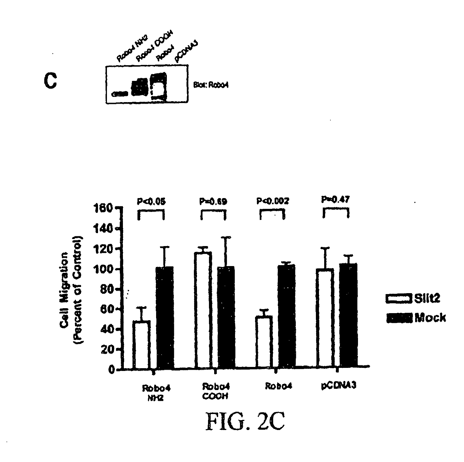 Compositions and methods for treating pathologic angiogenesis and vascular permeability
