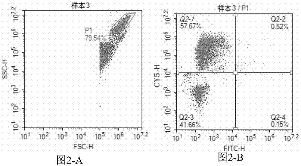 Kit for performing direct immunofluorescent detection on enterovirus 71 and coxsackievirus A16 and application thereof