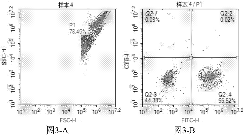 Kit for performing direct immunofluorescent detection on enterovirus 71 and coxsackievirus A16 and application thereof