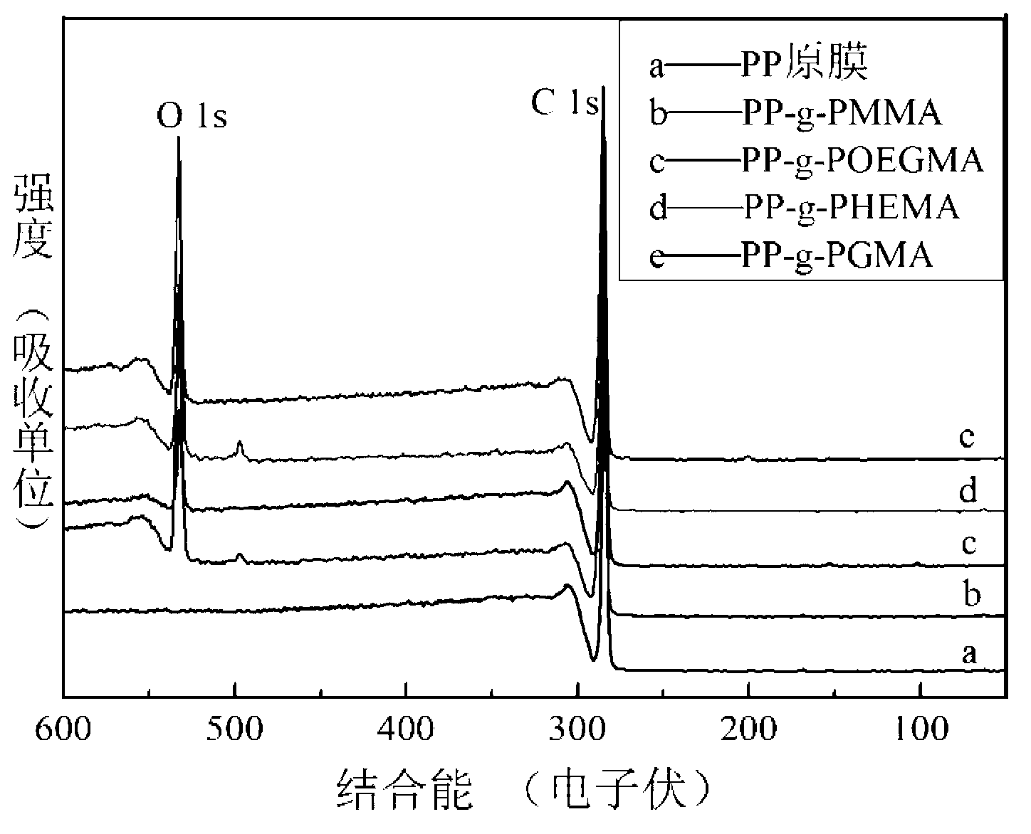 Polypropylene modified functional film and preparation method thereof